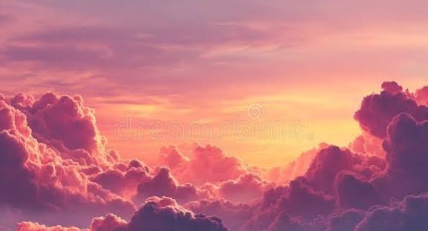关于爱情岛论坛 - 爱情岛论坛 - 品牌全维度信息一站式了解入口